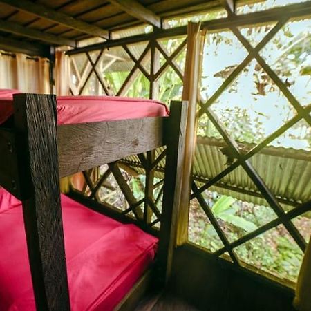 Ayahuasca Hostel Puerto Narino Exterior photo