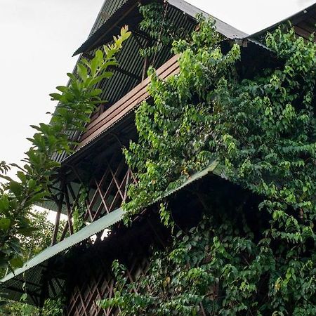 Ayahuasca Hostel Puerto Narino Exterior photo