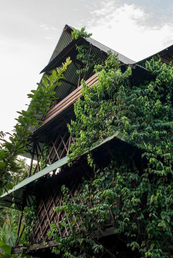 Ayahuasca Hostel Puerto Narino Exterior photo