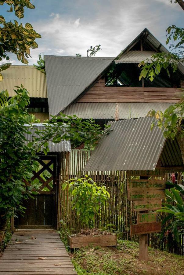 Ayahuasca Hostel Puerto Narino Exterior photo