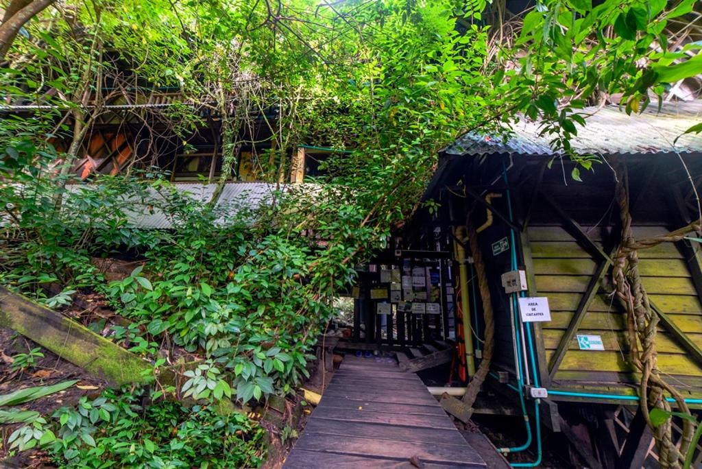 Ayahuasca Hostel Puerto Narino Exterior photo